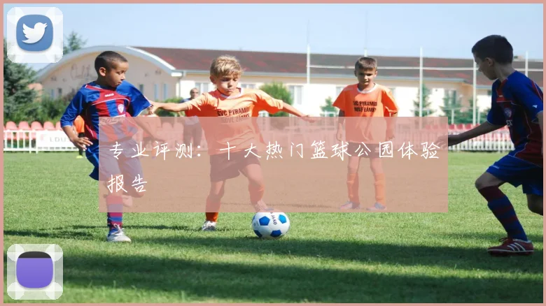 专业评测:十大热门篮球公园体验报告